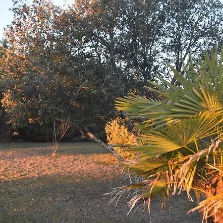 Ferienhaus Le Manse Saint-Victor-de-Malcap